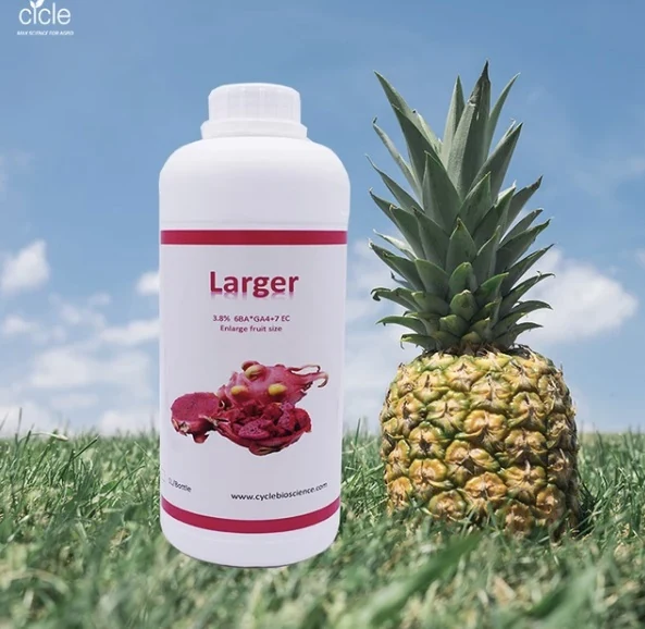 Client-supplied Gibberellic Acid (GA₃) product image